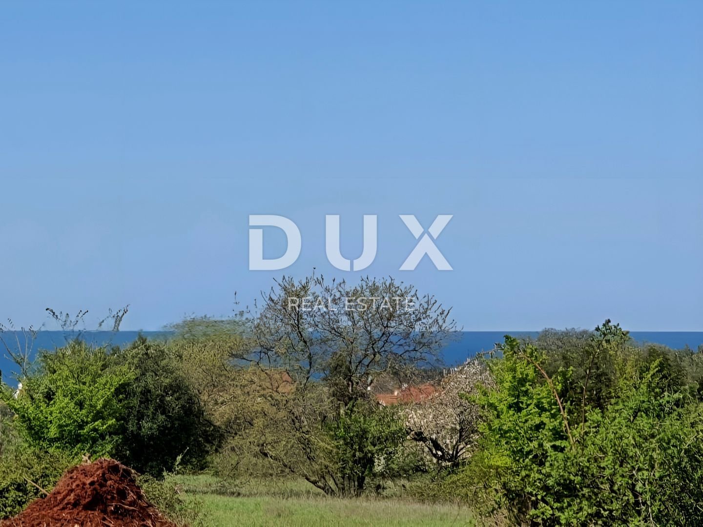 Fotografija