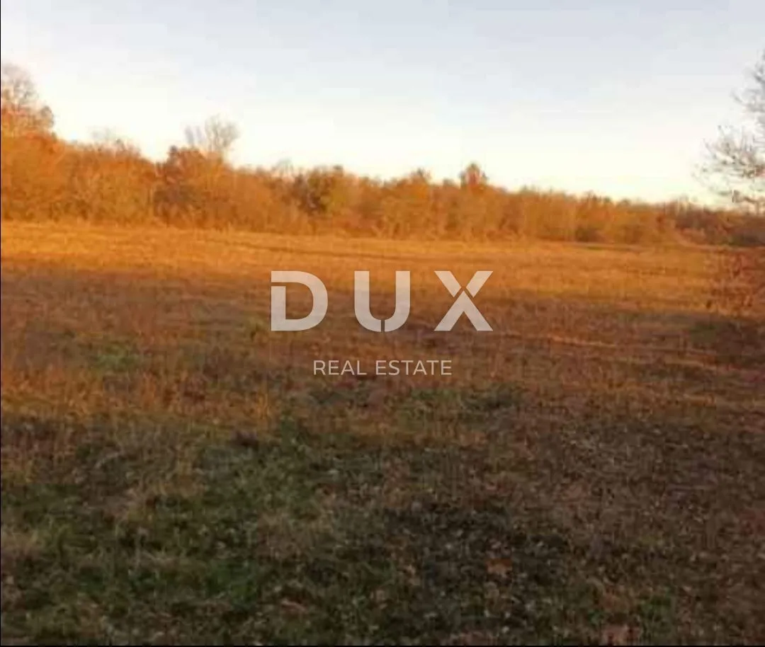 Fotografija