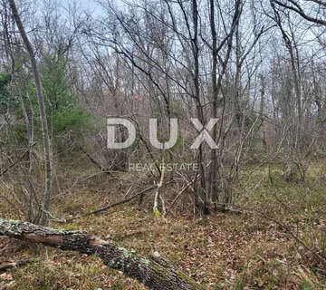 ISTRA, BUZET - Poljoprivredno zemljište - cover