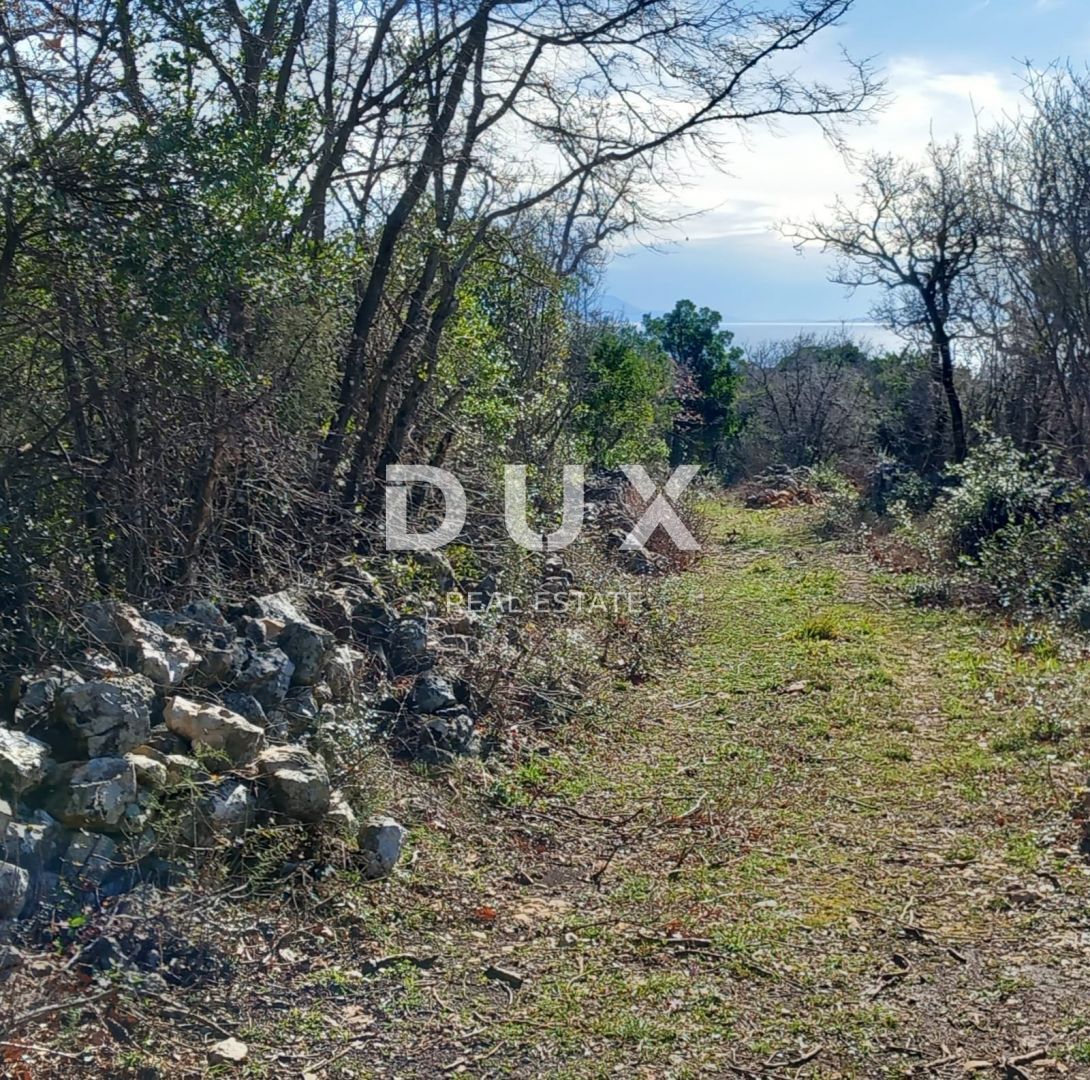 Fotografija