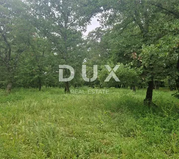 ISTRA, SV. LOVREČ - Prostrano poljoprivredno zemljište  - cover