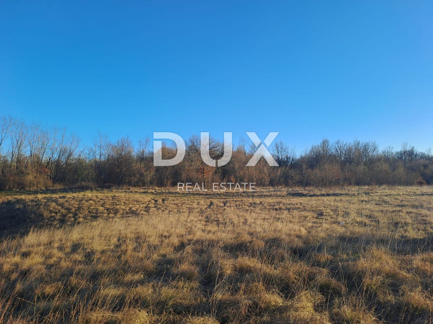 Fotografija
