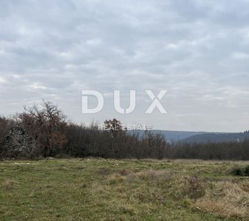 ISTRA,BRTONIGLA - Kompleks zemljišta na jedinstvenoj lokaciji - cover