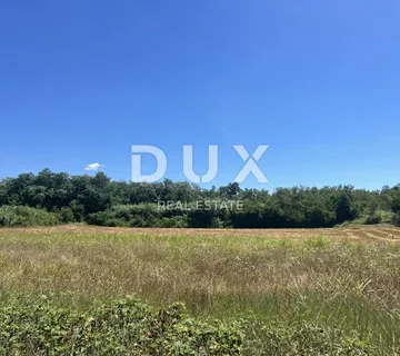 ISTRA,BADERNA - Poljoprivredno zemljište u naravi šuma - cover