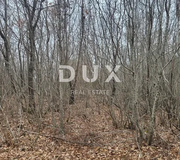 ISTRA, BUZET - Šuma 13.520 m2 - cover