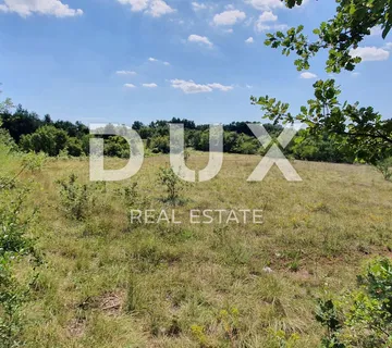 ISTRA, ŠUMBER - Zemljište na rubu građevinskog područja - cover