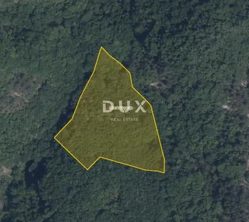 ISTRA, PAZIN, CEROVLJE – Šuma 12.020 m² - cover