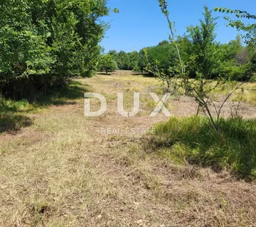 ISTRA, BRTONIGLA - Prostrano poljoprivredno zemljište - cover