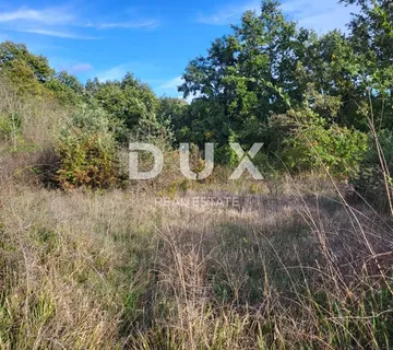 ISTRA, ŽMINJ - Prostrano građevinsko zemljište - cover