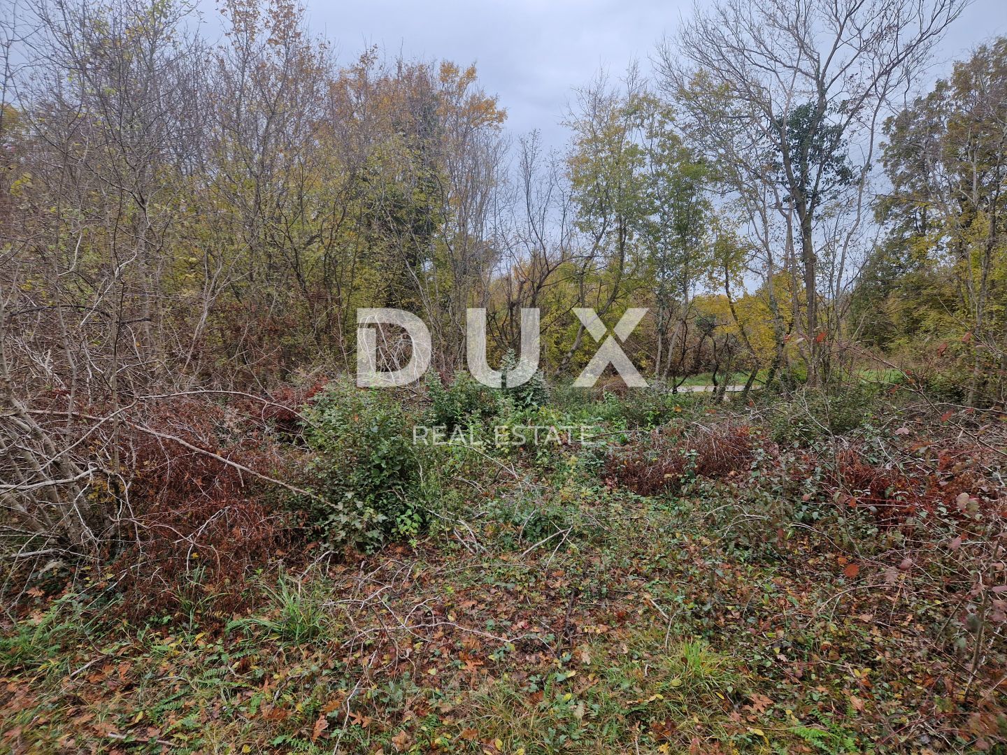 Fotografija