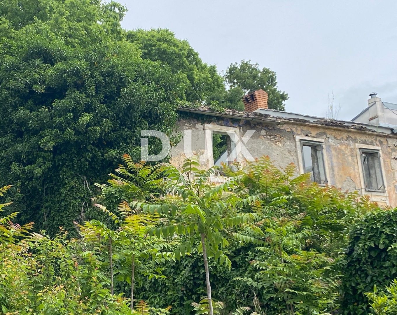 Fotografija