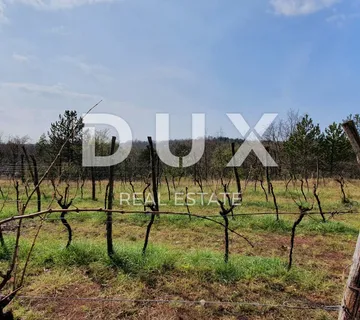 ISTRA, GRAČIŠĆE - Vinograd, maslinik, livada i šuma s prekrasnim pogledom - cover