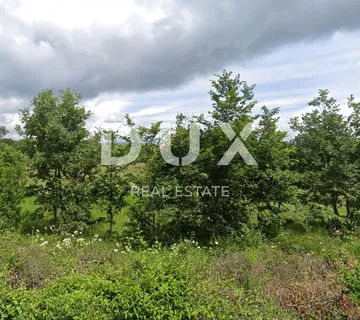 ISTRA, LABIN - Poljoprivredno zemljište u blizini građevinske zone, cijena po dogovoru! - cover