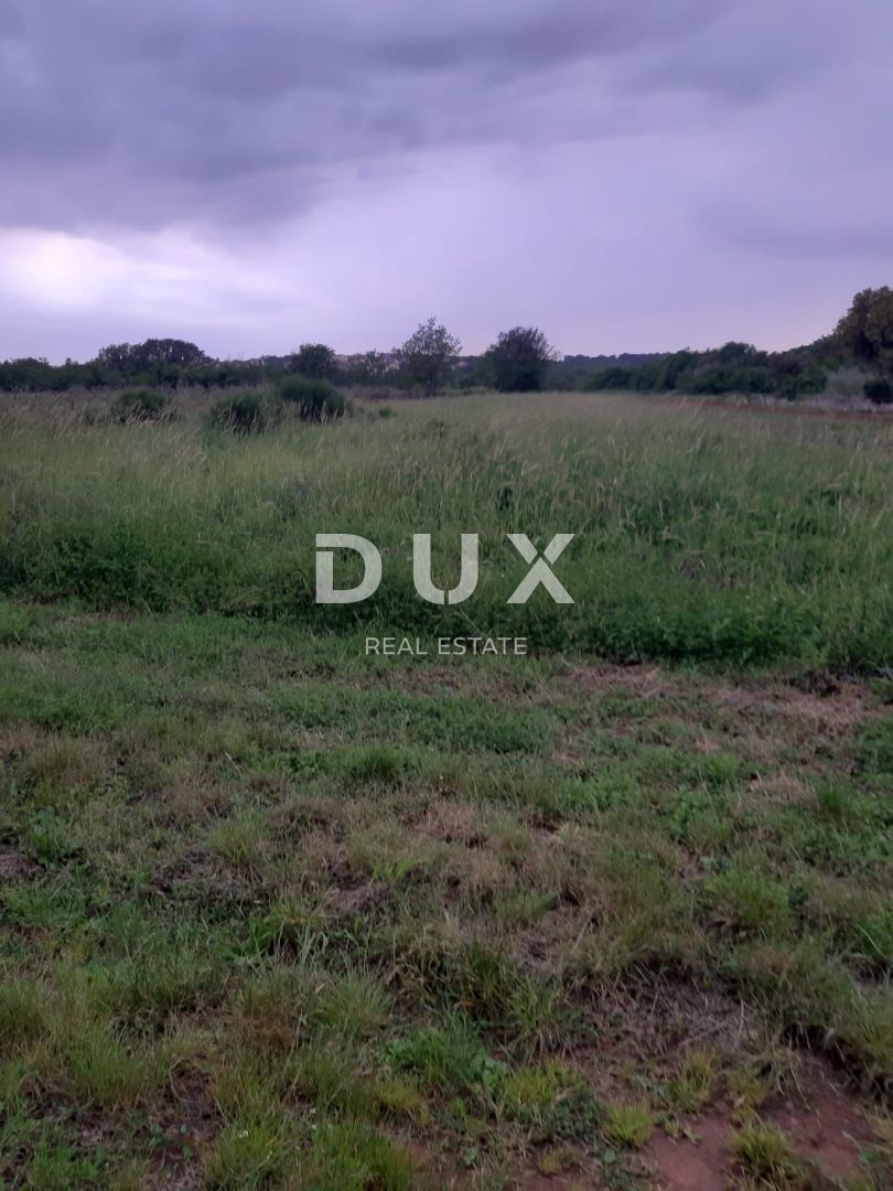 Fotografija