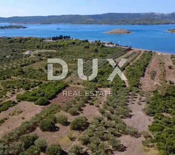 ZADAR, TURANJ - Maslinik s 55 maslina - 3143m² - cover