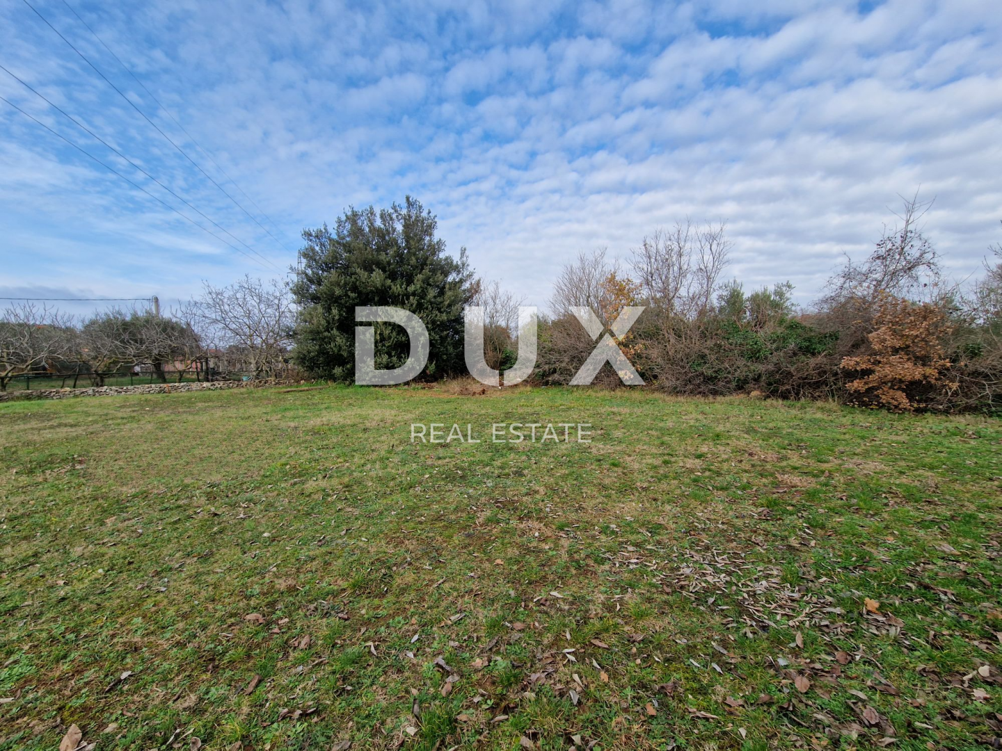 Fotografija