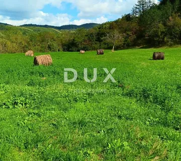 ISTRA, BUTONIGA - Obradiva oranica 8.778m2 - cover