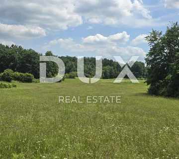 ISTRA, PIĆAN - Predivna livada površine 5938 m2 - cover