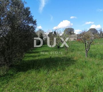 ISTRA, ŽMINJ Građevinsko zemljište na odličnoj lokaciji 3200 m2 - cover