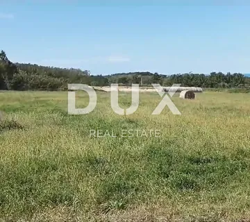 ISTRA, BRTONIGLA - Prekrasna livada površine 7596 m2 - cover