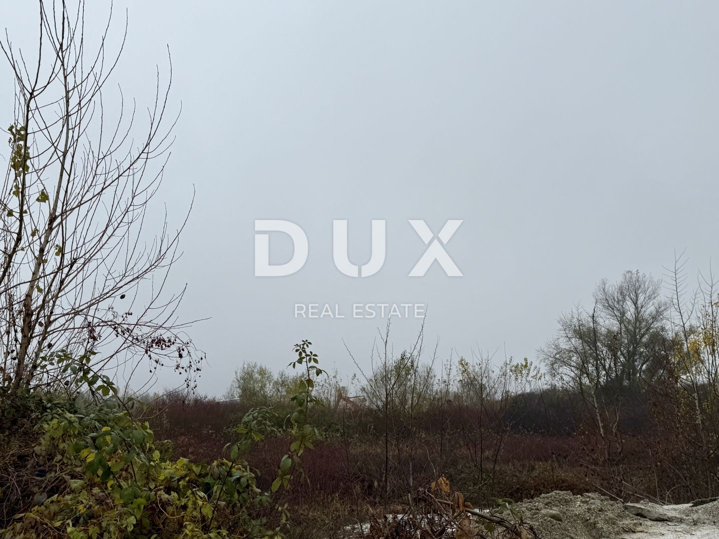 Fotografija