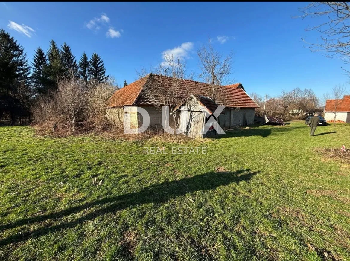 Fotografija