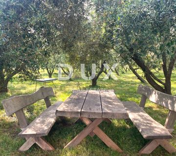 OTOK KRK - Kuća na osami, 400 maslina, 10.000 m2 terena! - cover