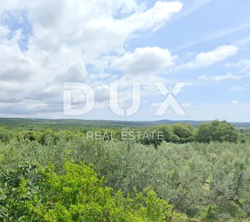 ISTRA, LOVREČ - Kompleks zemljišta na izuzetnoj lokaciji - cover