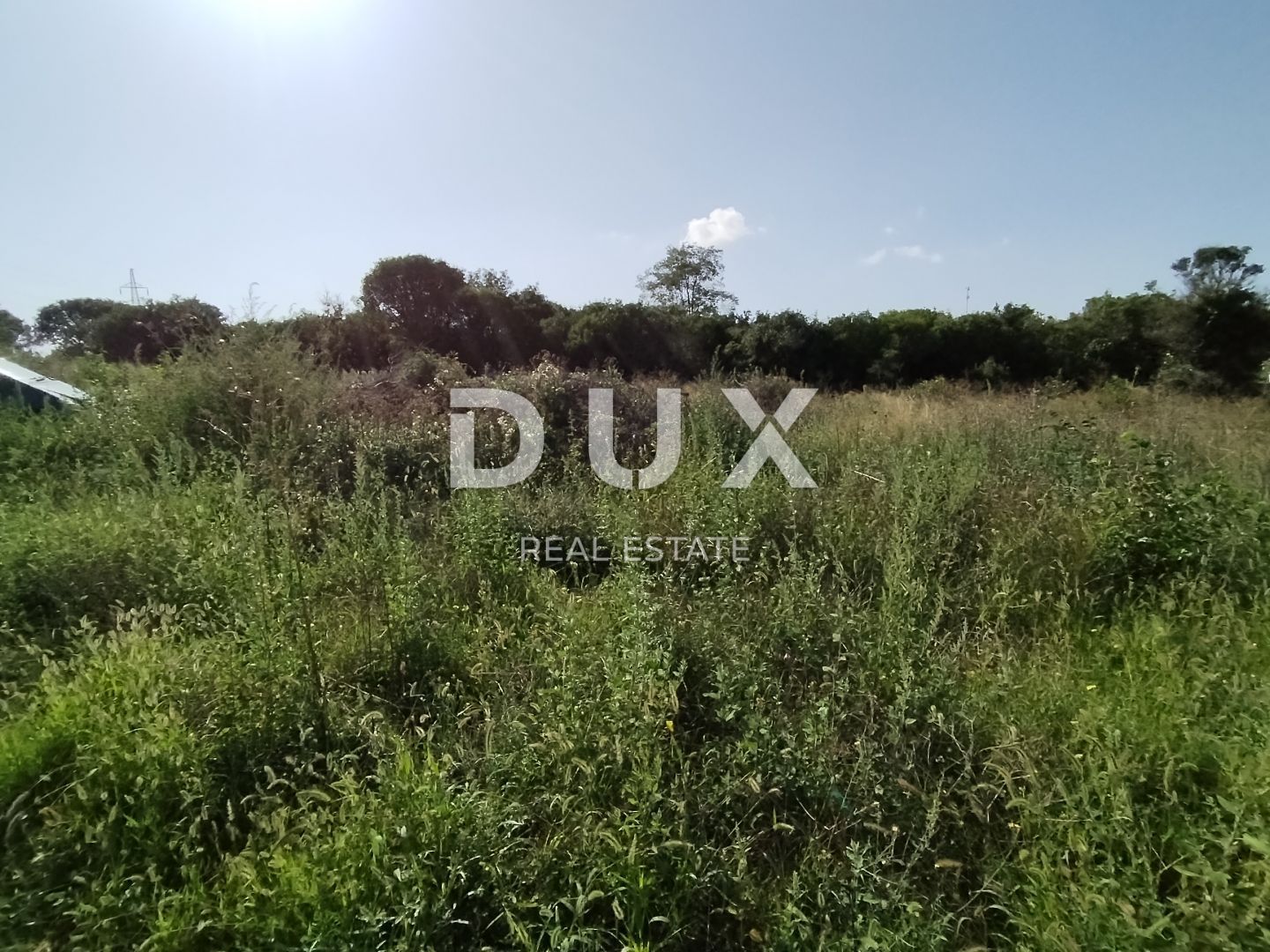 Fotografija