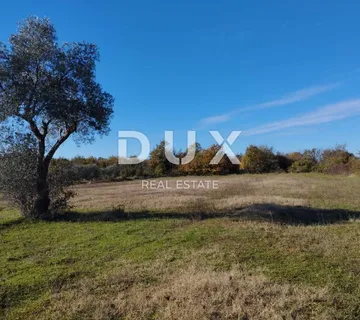 ISTRA, SVETVINČENAT Prekrasno poljoprivredno zemljište!  - cover