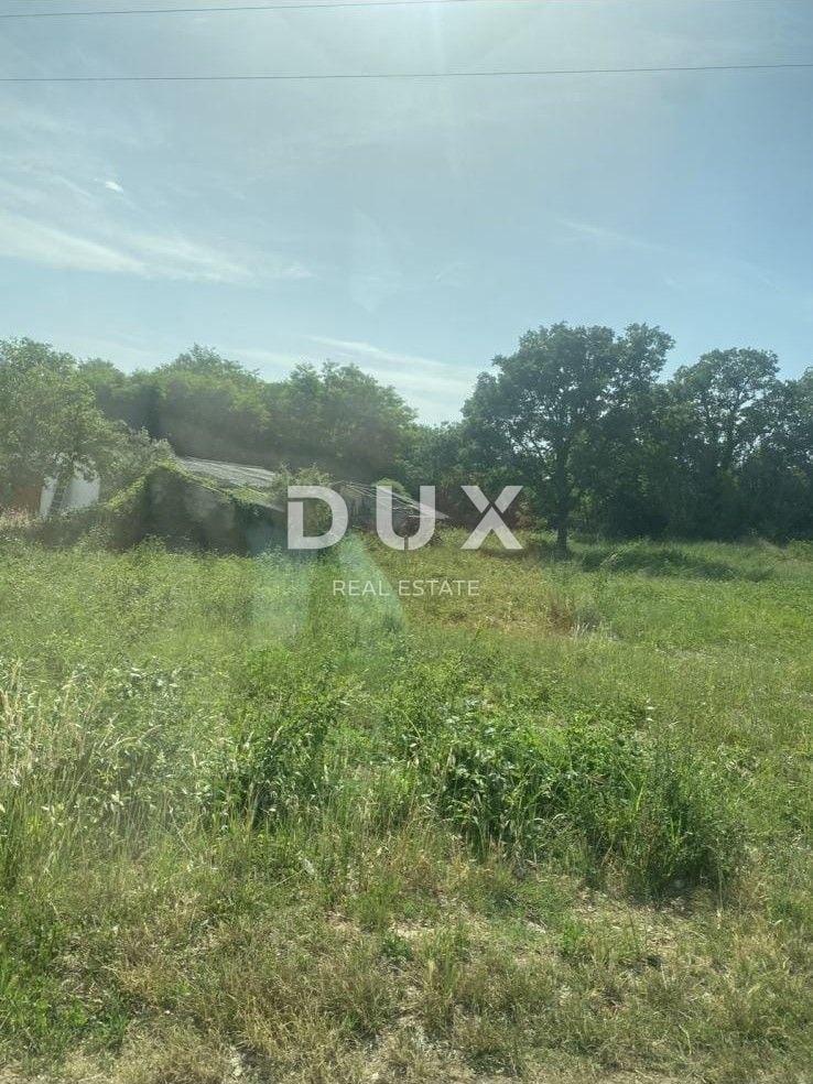Fotografija