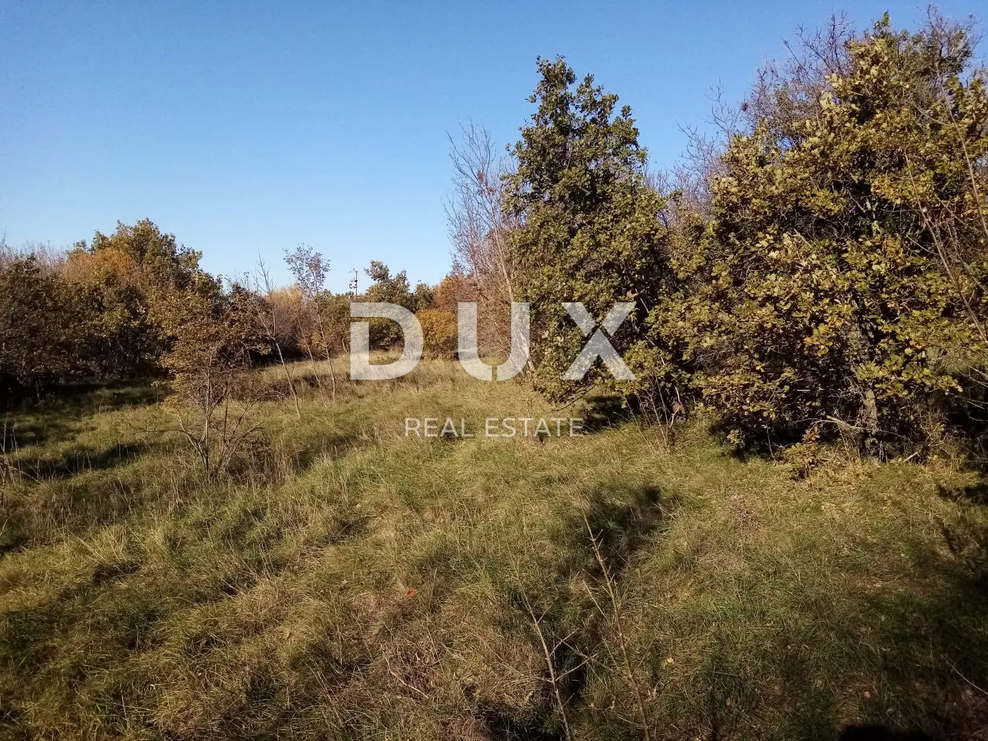 Fotografija