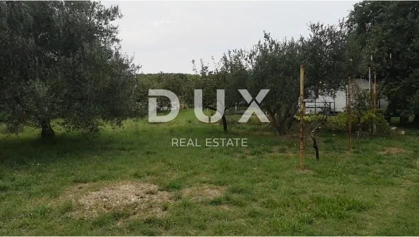 Fotografija