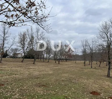 ISTRA,VIŽINADA - Prostrano građevinsko zemljište idealno za investiciju - cover