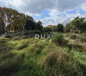 ISTRA, PULA - Prostrano poljoprivredno zemljište 11420m2! - cover