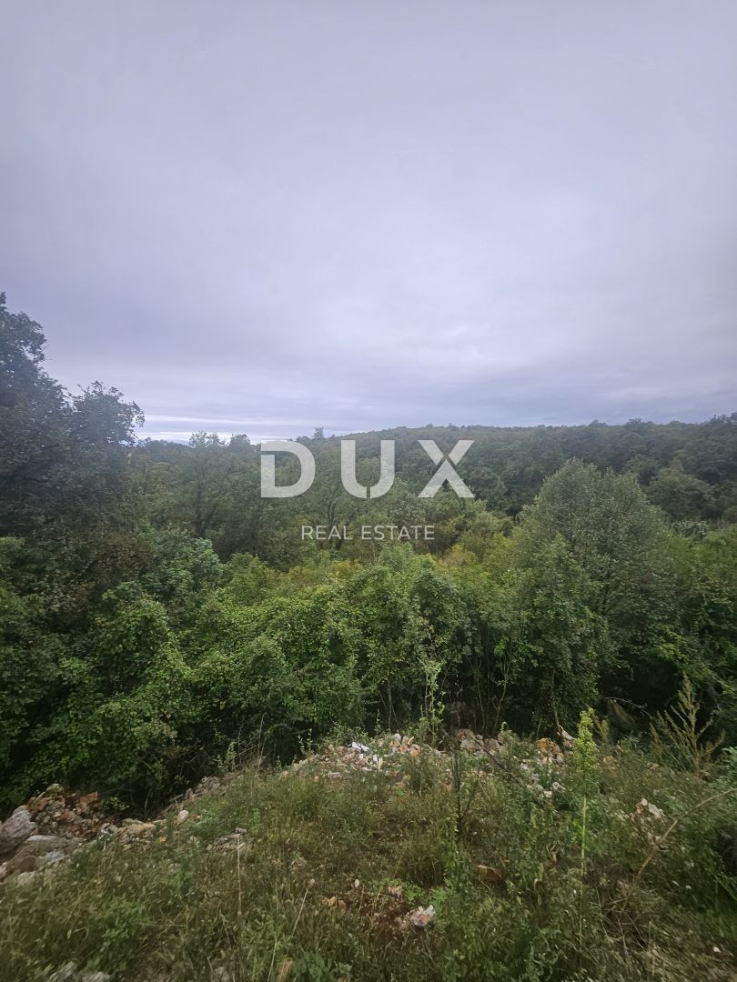 Fotografija
