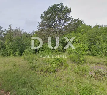 ISTRA, LABIN - Poljoprivredno zemljište pogodno za sječu - cover