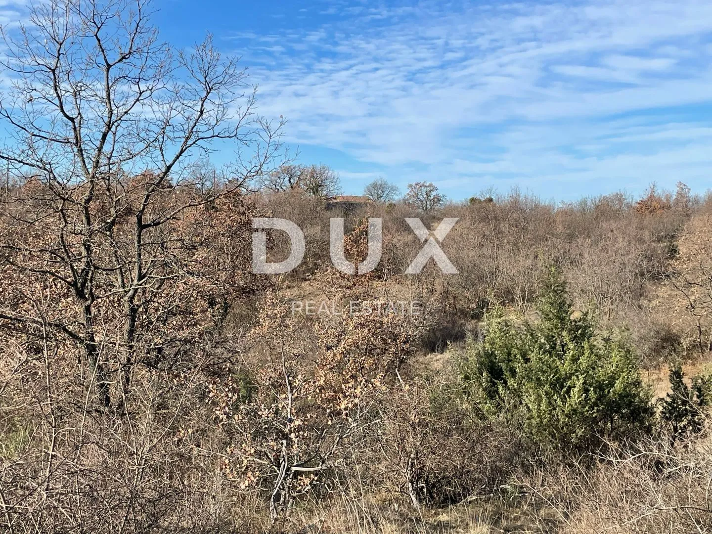 Fotografija