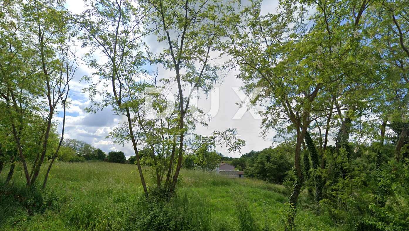 Fotografija