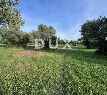 BIOGRAD, TURANJ - Građevinsko zemljište s pogledom na more - cover