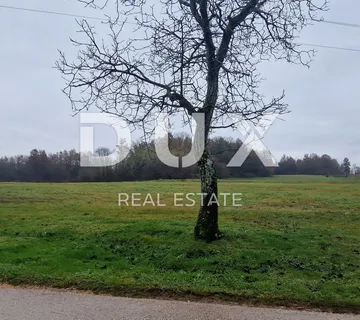 ISTRA, PAZIN - Poljoprivredno zemljište površine 12317 m2 - cover