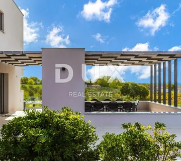 NIN - bajkovita vila s predivnim pogledom                                        - cover