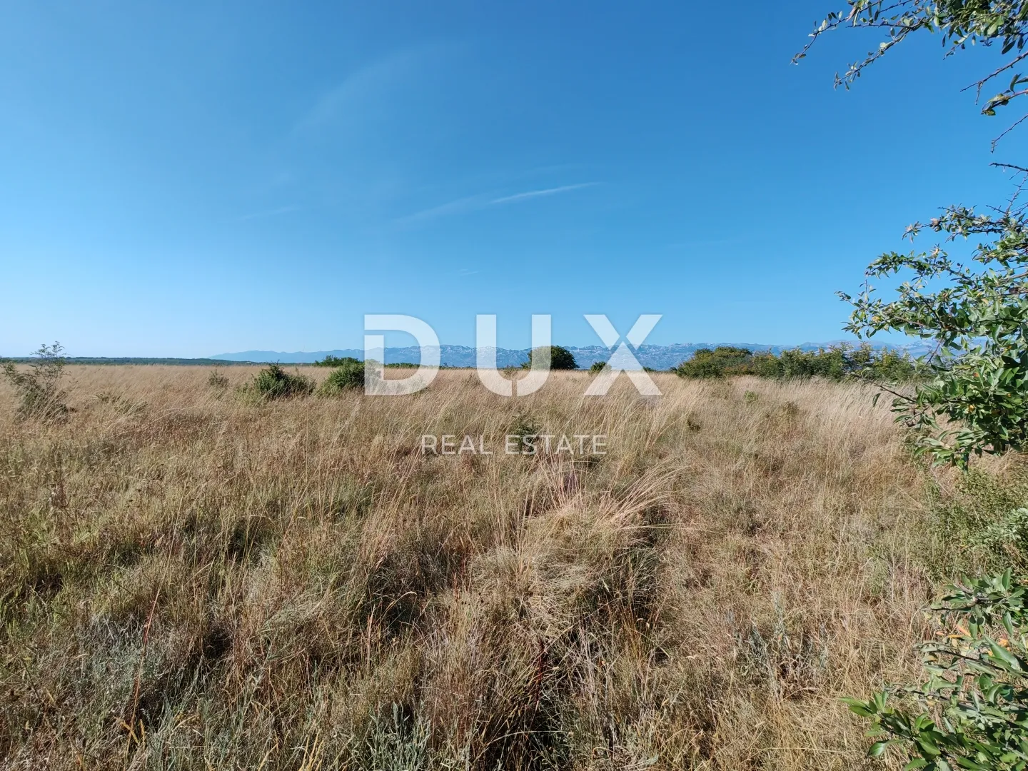 Fotografija