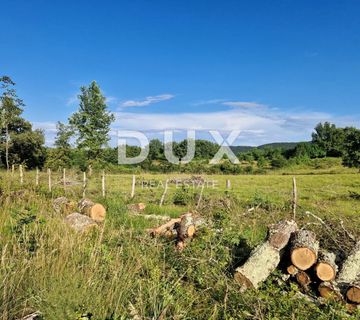 ISTRA, GROŽNJAN - Prostrano zemljište na rubu naselja - cover