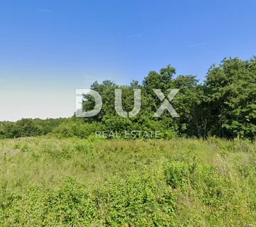 ISTRA,BARBAN - Kvalitetno obradivo zemljište, prilika! - cover