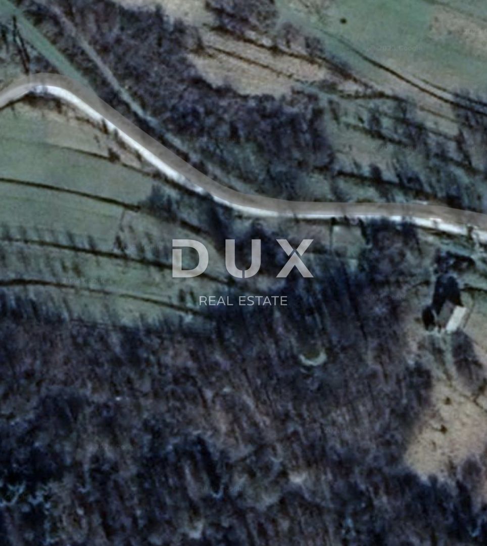 Fotografija