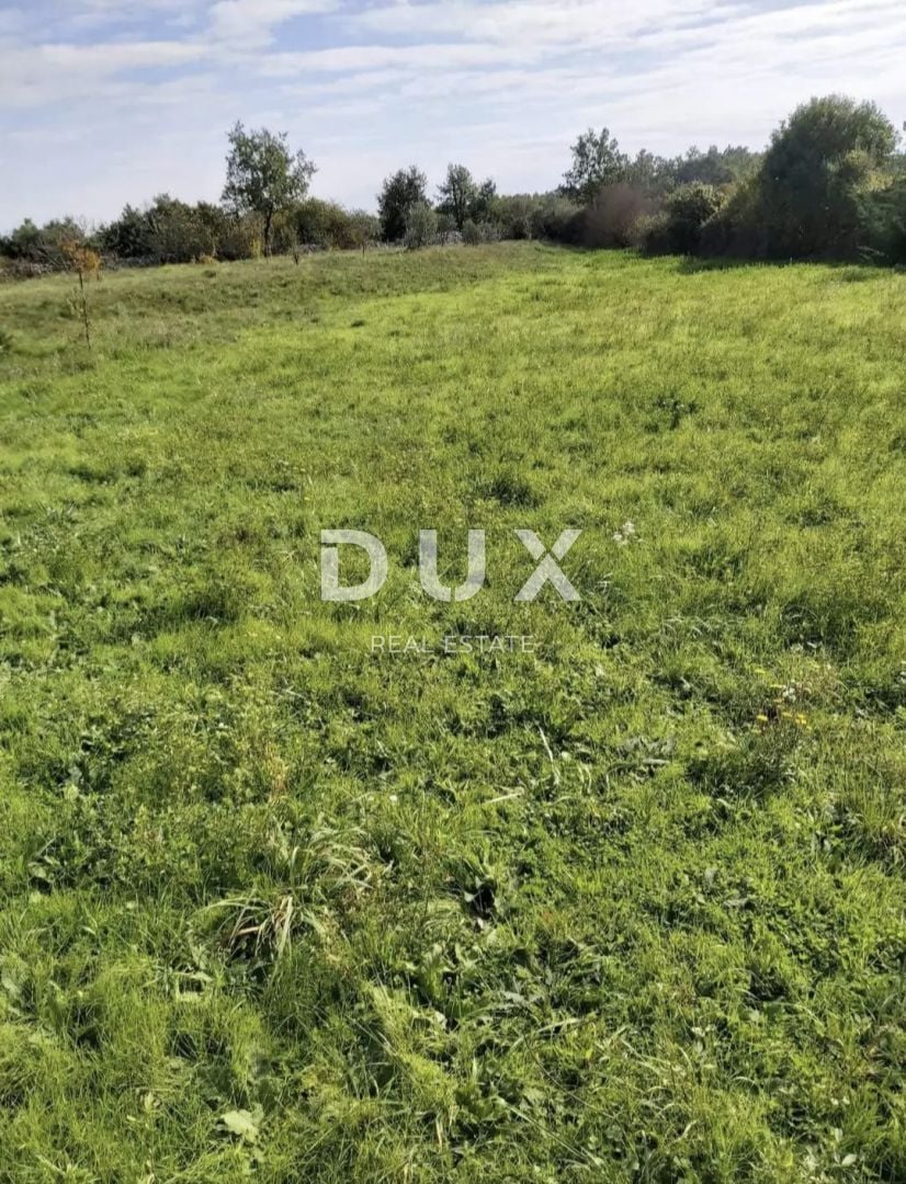 Fotografija