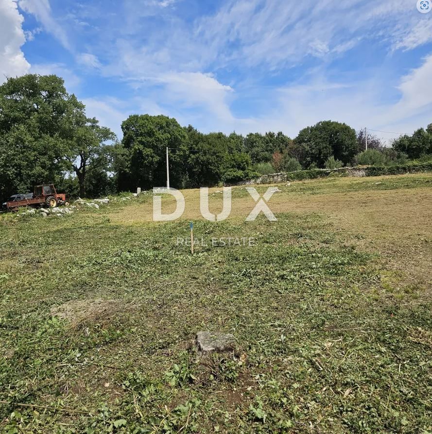 Fotografija