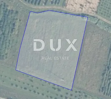 ISTRA, BUJE - Poljoprivredno zemljište - cover