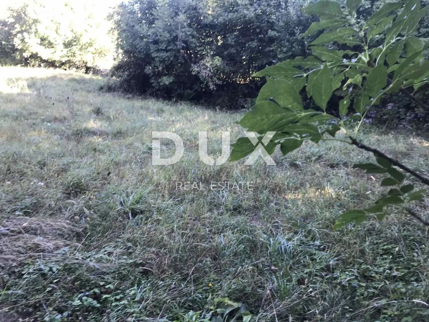 Fotografija